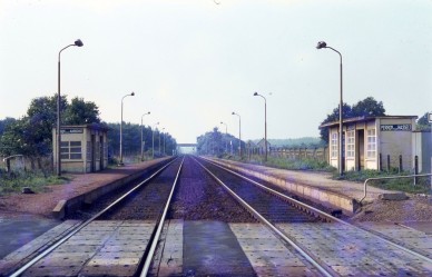 Langdorp - TH 79-5917.jpg